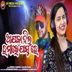 Aapka Dil Hamare Pass Hei